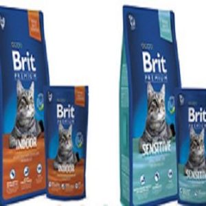 غذای خشک گربه بریت Brit