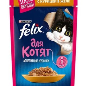 پوچ بچه گربه فلیکس Felix