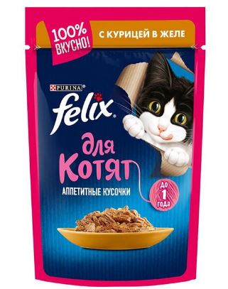 پوچ بچه گربه فلیکس Felix